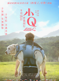 精品久久久久国产免费